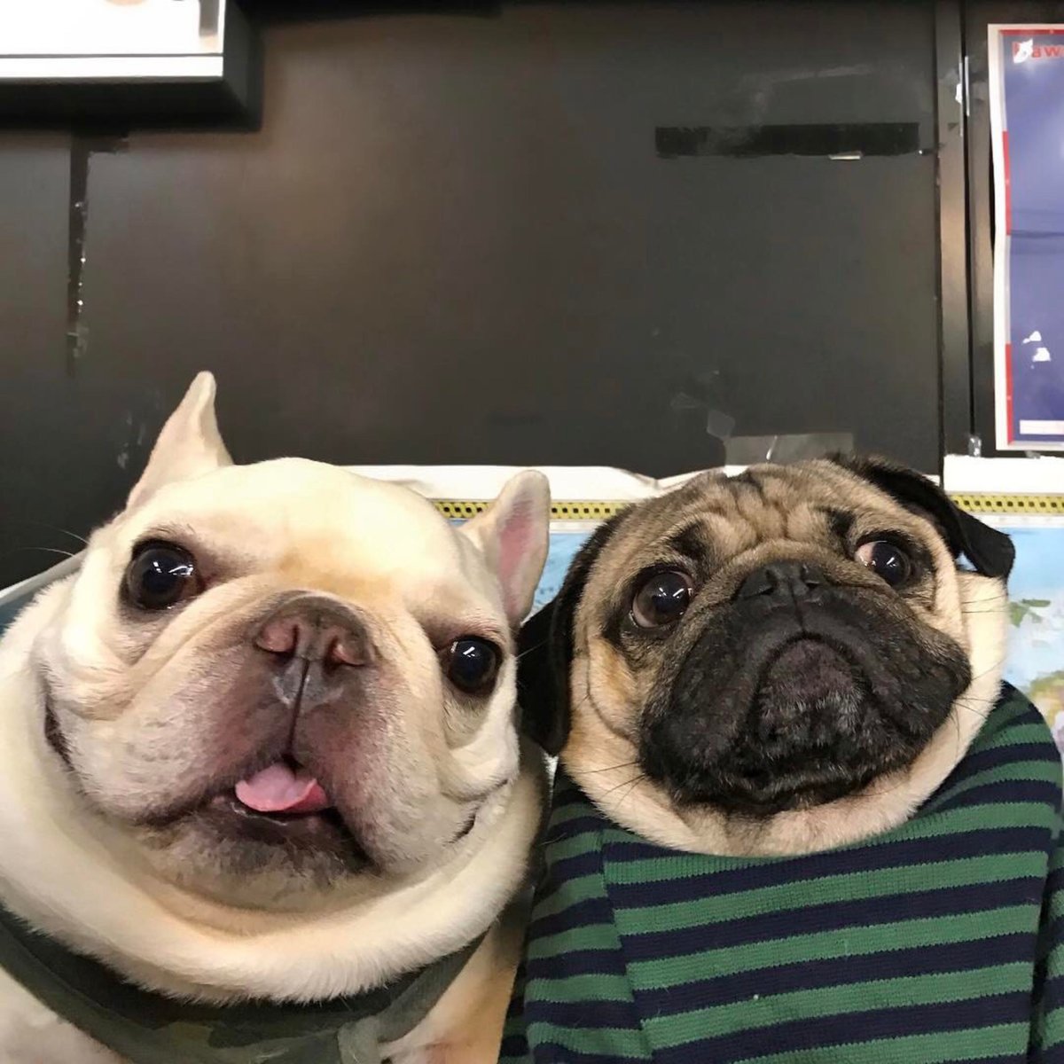 �������� ��������, ����� ���������� �������� ��������