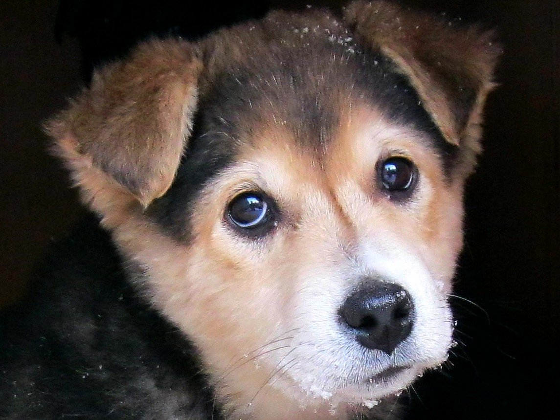 �������� ���, �������� ����������� ������ ������