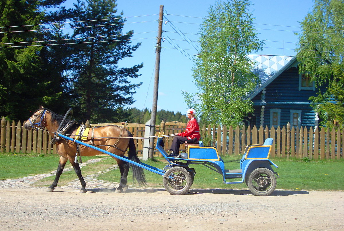 повозка с лошадью фото