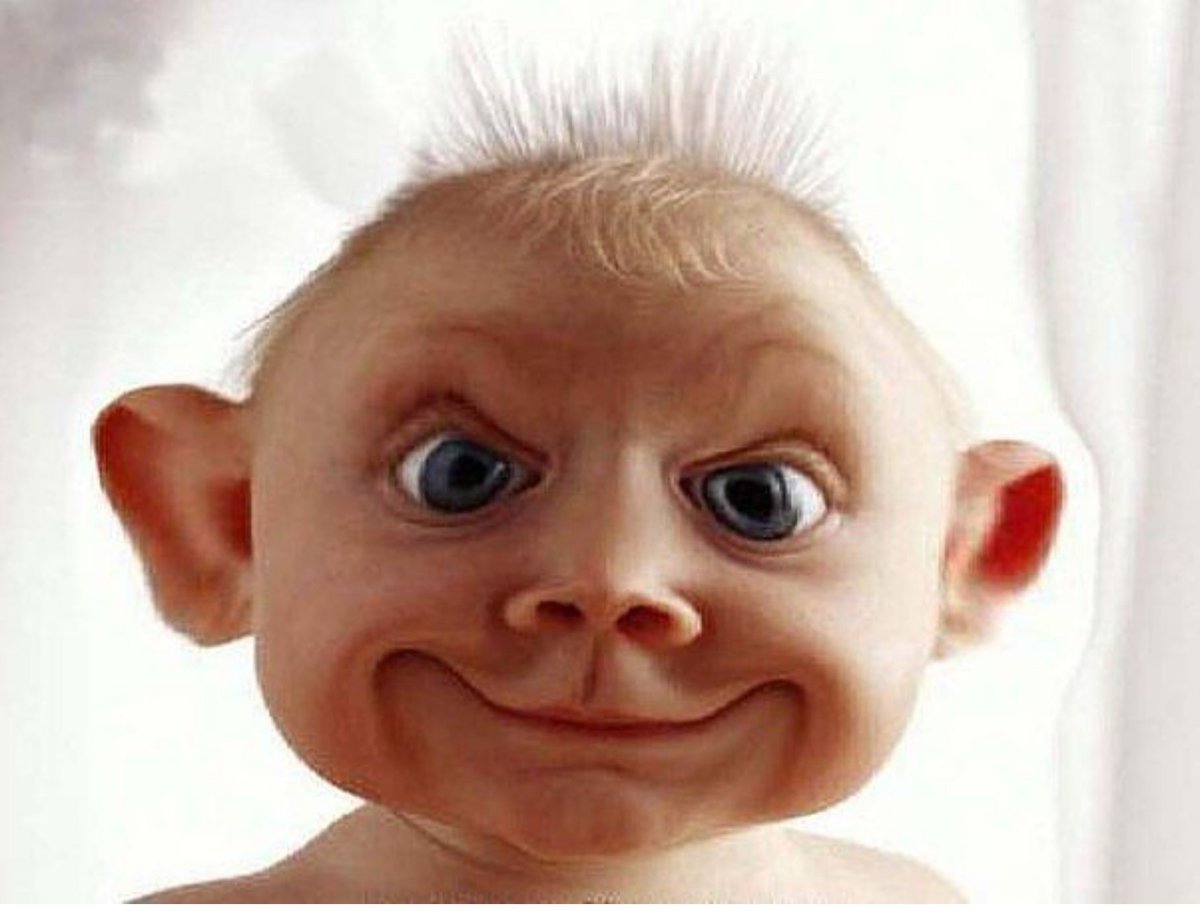 ���� �������� ������� ������