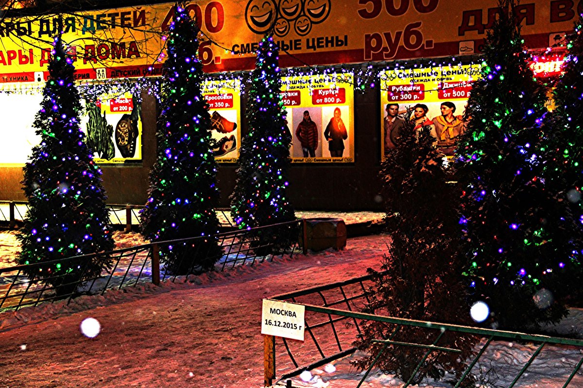 новогодняя ель фото