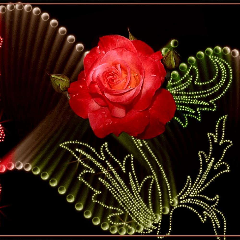 �������� �������� �������� � �������, ����� �����