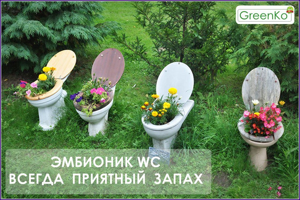 унитаз клумба фото