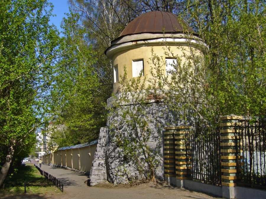 зеленая роща фото