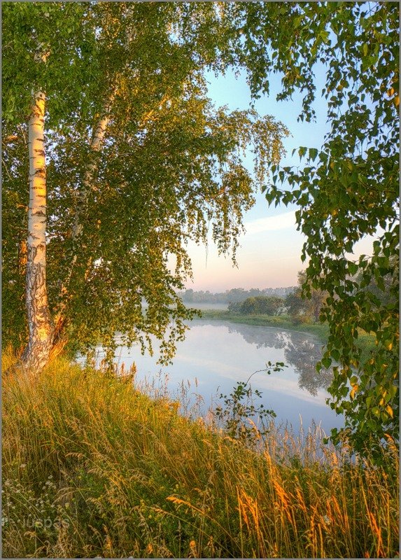 фото россия родина моя картинки березки фото