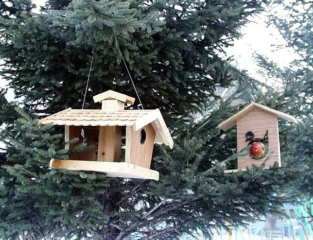 кормушка для птиц из дерева фото