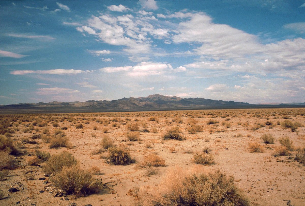 desert land фото
