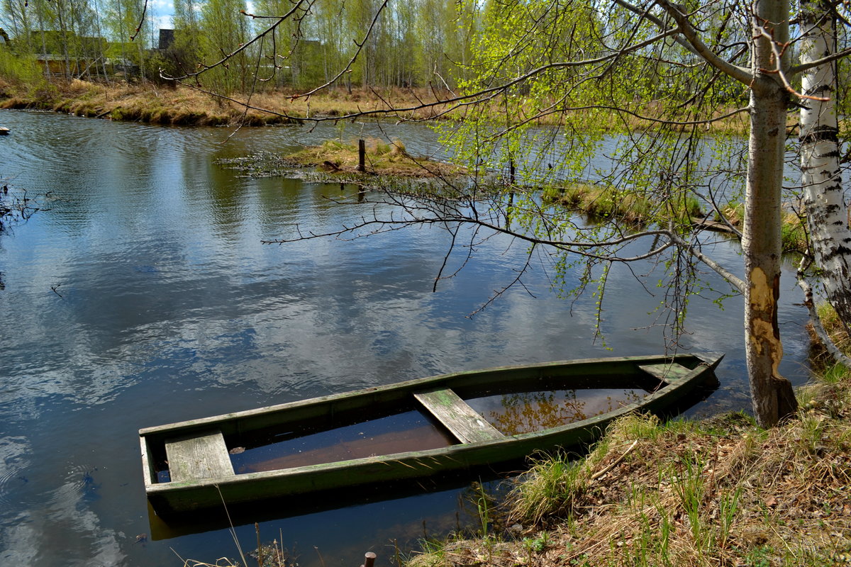 берег реки лодка фото