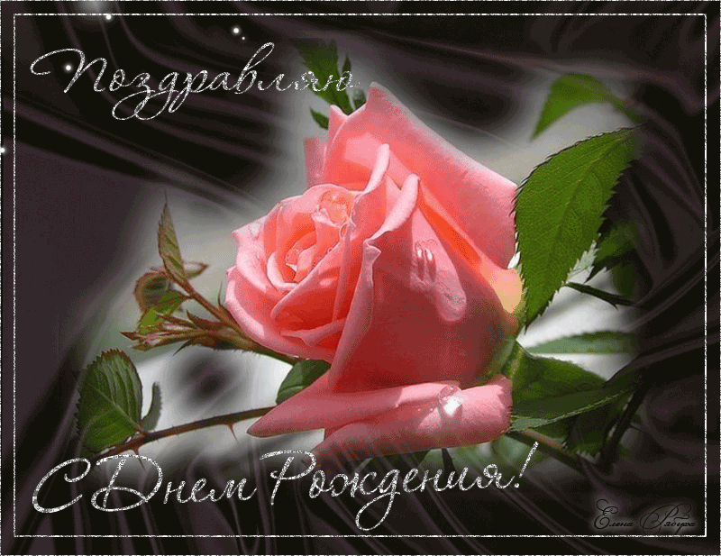 �������� ���� �������� ��������������, 80-������ ����