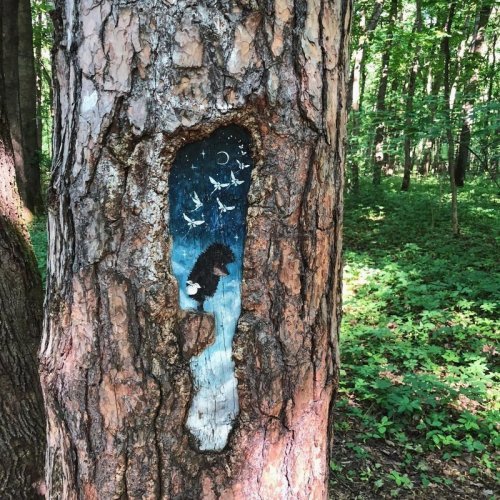 рисунки на деревьях в измайловском парке фото