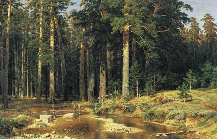 шишкин иван иванович корабельная роща фото