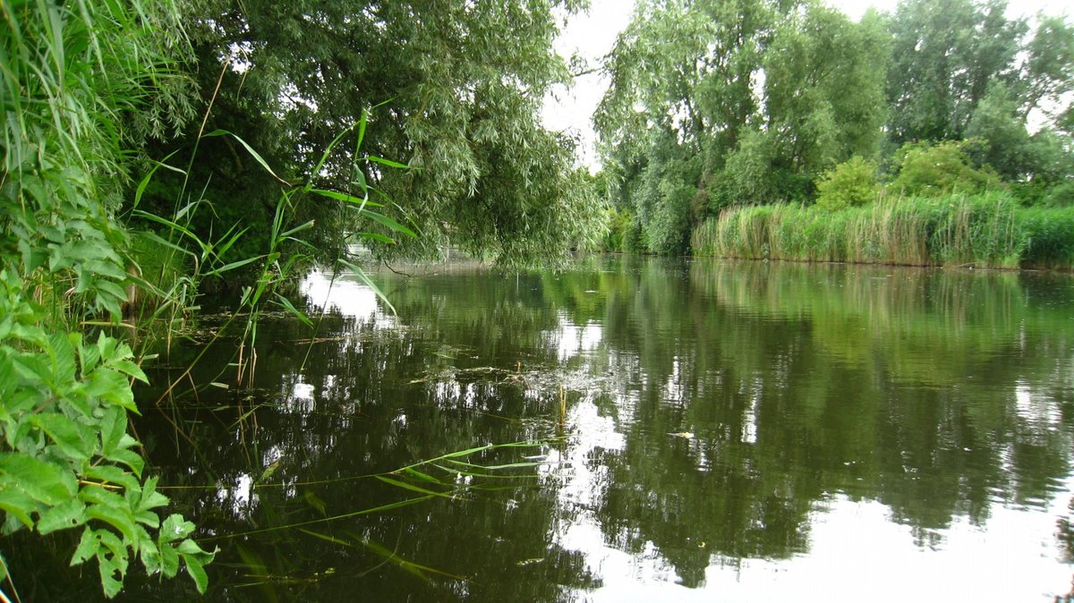 водоем фото