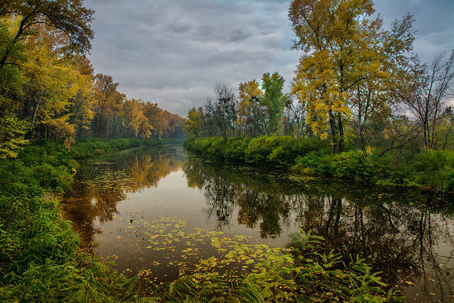 николина гора река осень фото