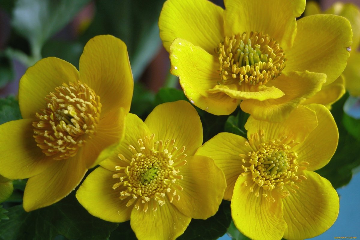 ����� �������� ������, ��� ����� ���