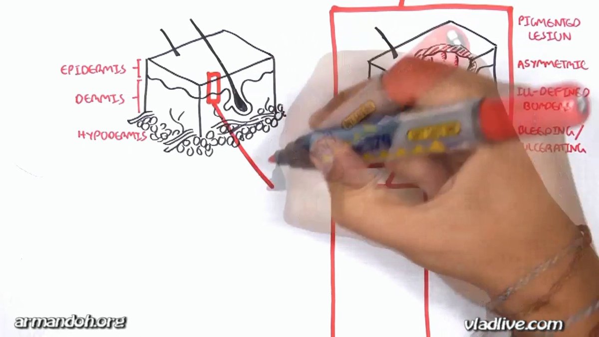 draw a фото