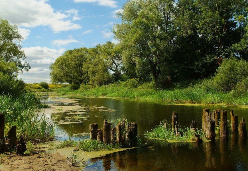река лужа фото