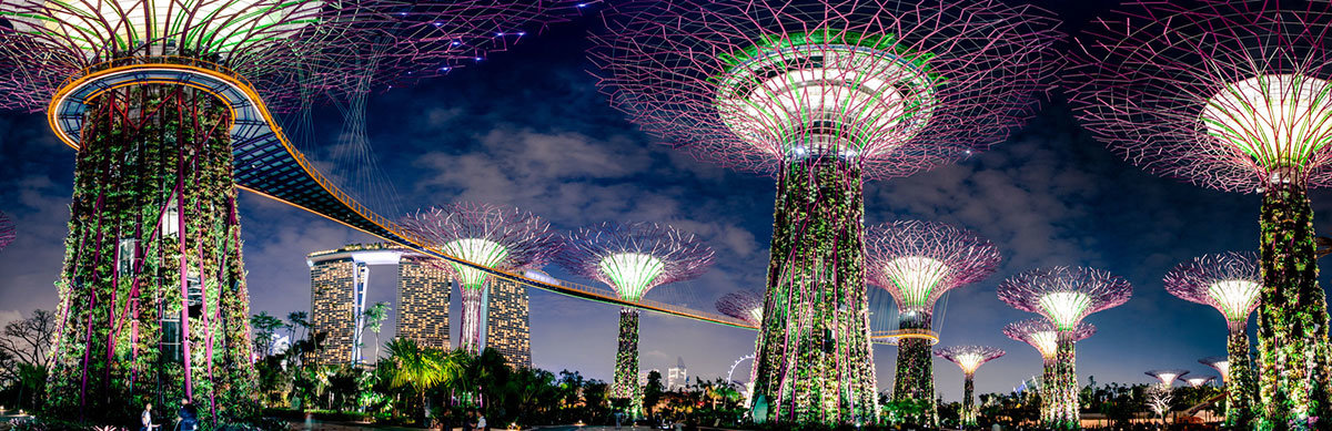 supertree grove в сингапуре фото