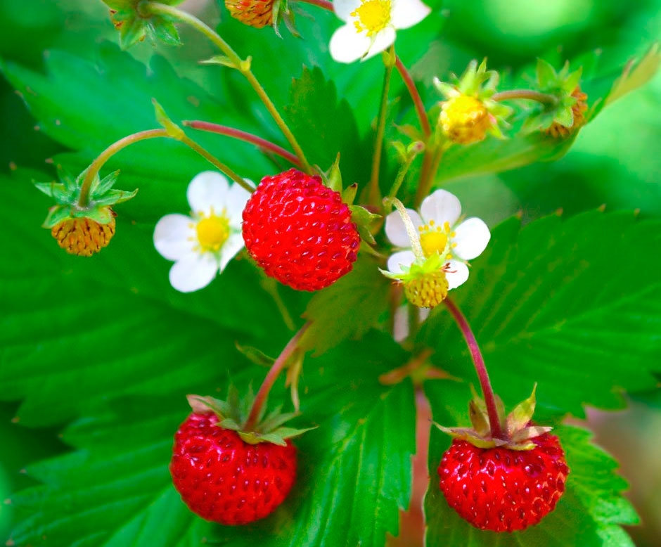 ������� ����, �������� � ���������� ������