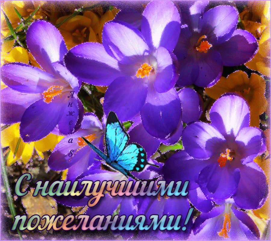 ������� �������, �������� � ���������� ����������� � ���� ����