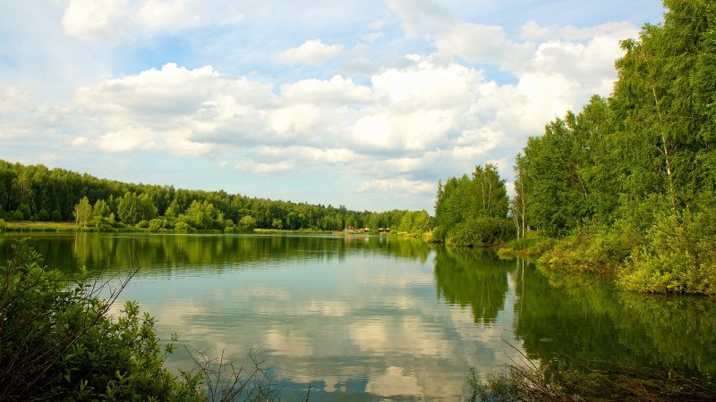 озеро северное черноголовка фото