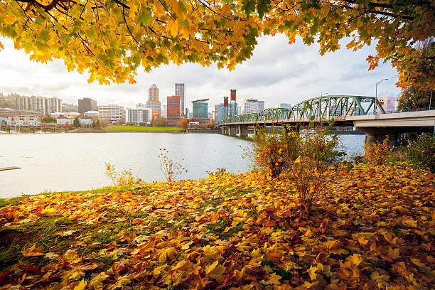 portland oregon осень фото