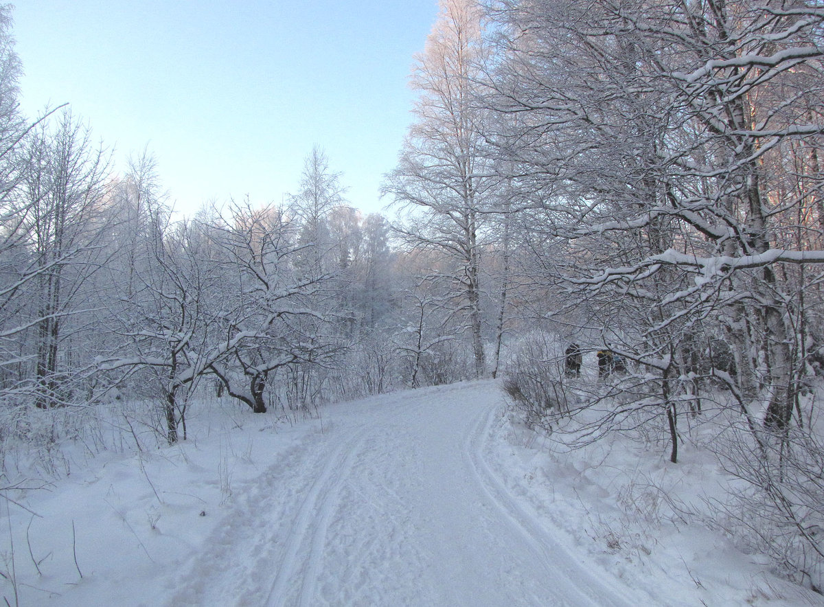 зимняя дорога фото