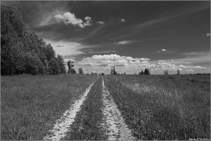поле черно белое фото