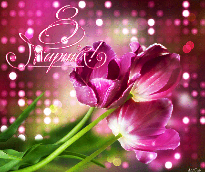 � ������������� ������� ���� 8 ����� �������� �����, ������������