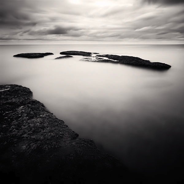 черно белая природа фото