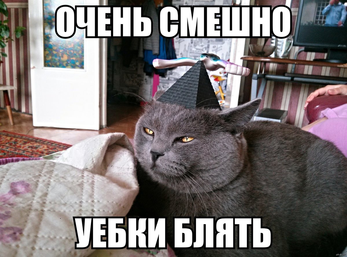 �������� � �������� ��� ����������, ��������