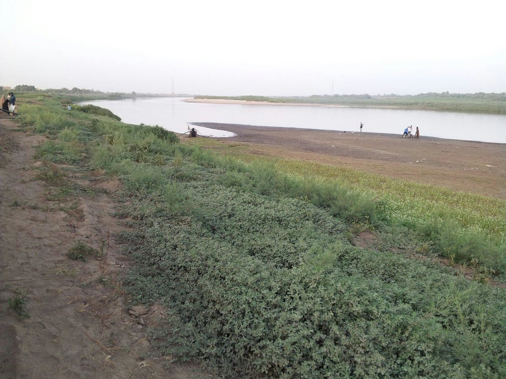 село тумак астрахань фото