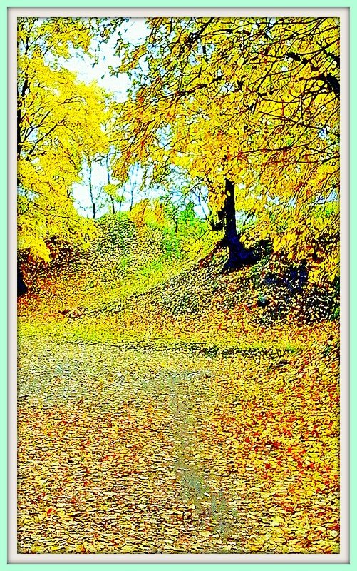 пейзаж осени фото