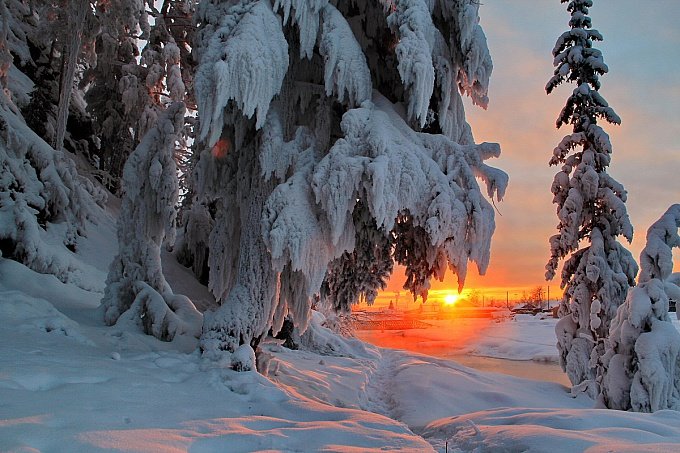 красота зимы фото
