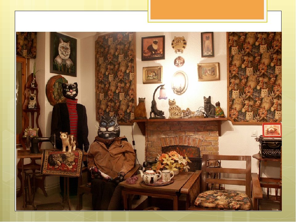 музей кошкин дом в амстердаме фото