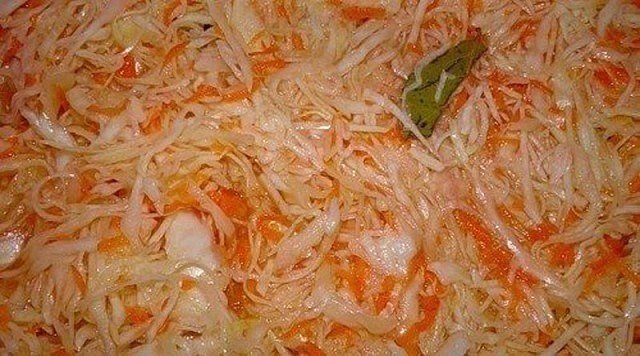 квашеная капуста фото