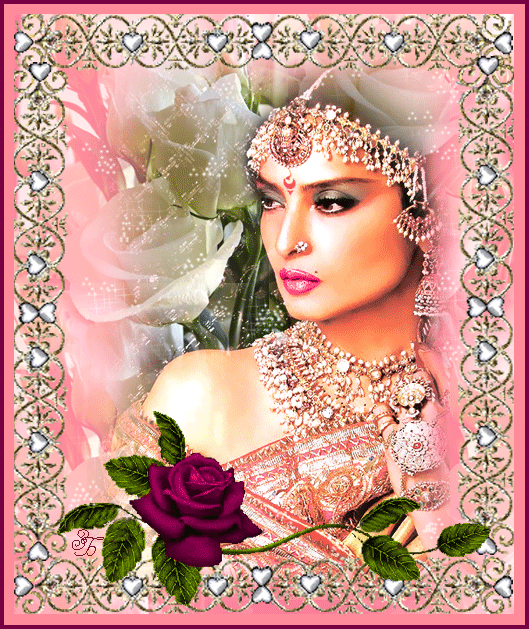 ���� ��������, �������� �������� ��������