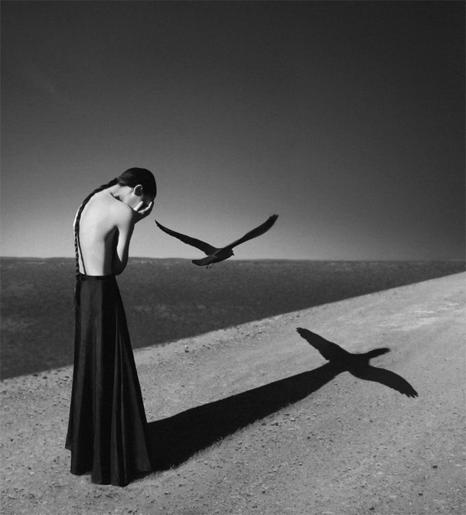 noell oszvald фото