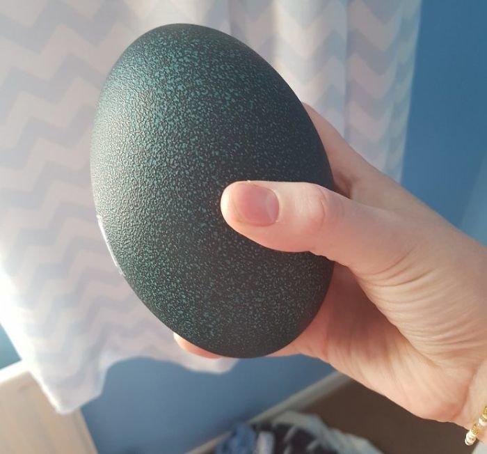 Купленное на eBay яйцо оказалось с сюрпризом