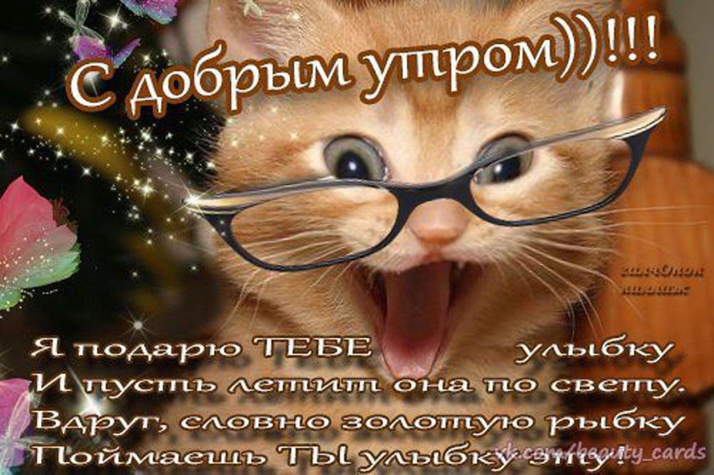 ������, �������� � ������ ����� ����� ������� ����������