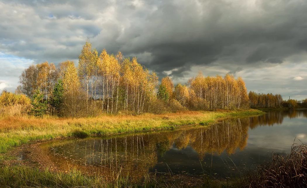 пасмурная осень фото