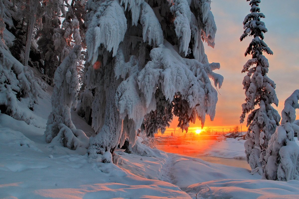 красота зимы фото