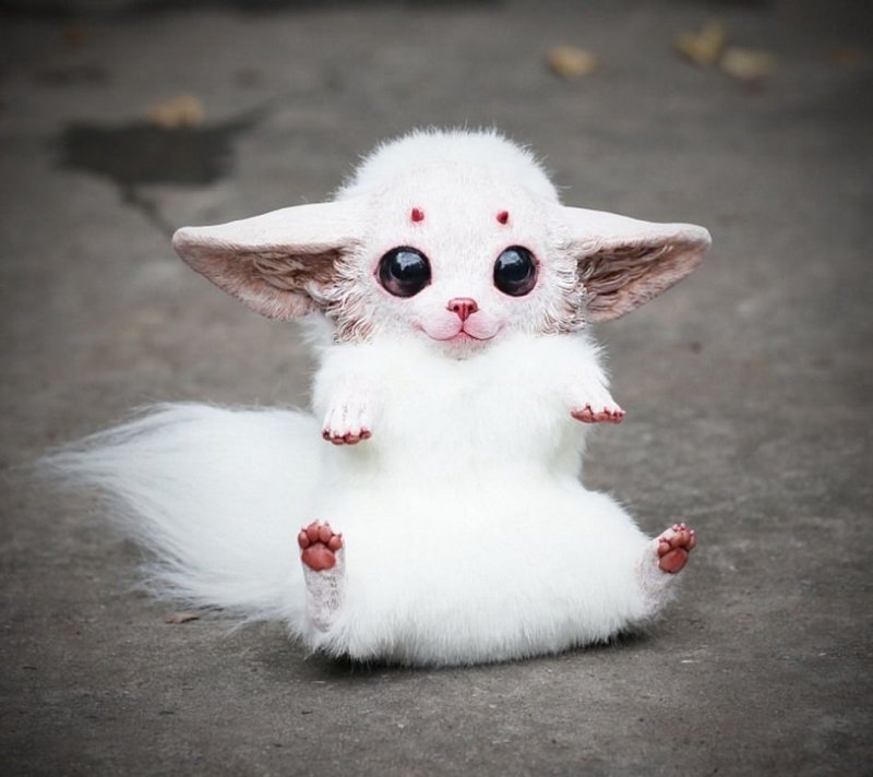 ���������� �������� ���������� ��������, ���� ��� �������