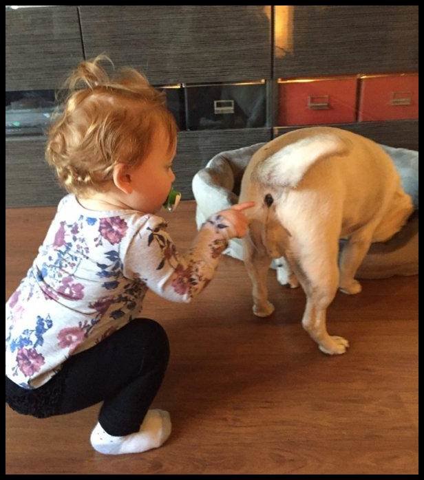 �������, ������� �� ���� � ��������