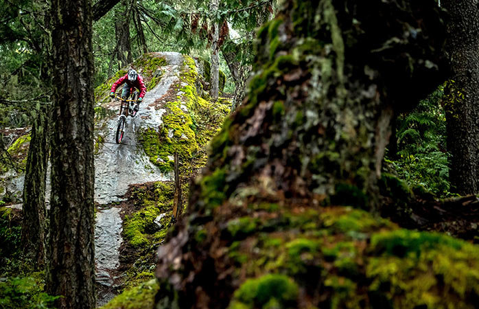 mountain bike фото