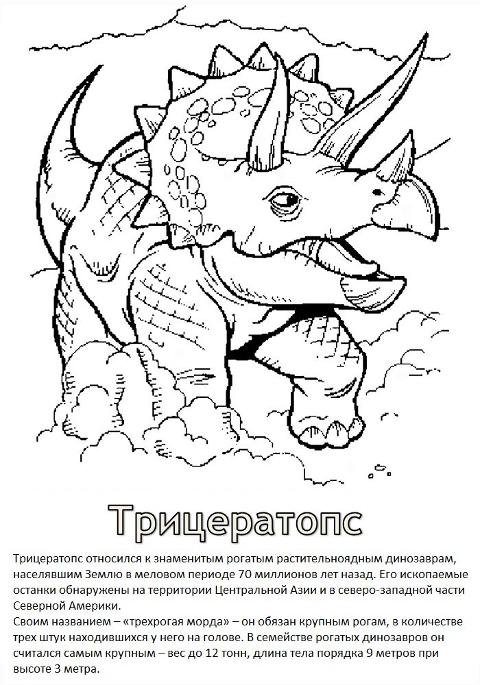 раскраска динозавры фото