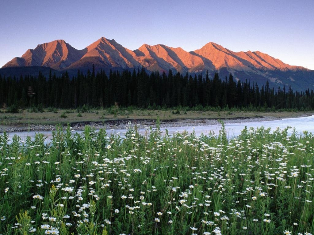скалистые горы канады парк фото
