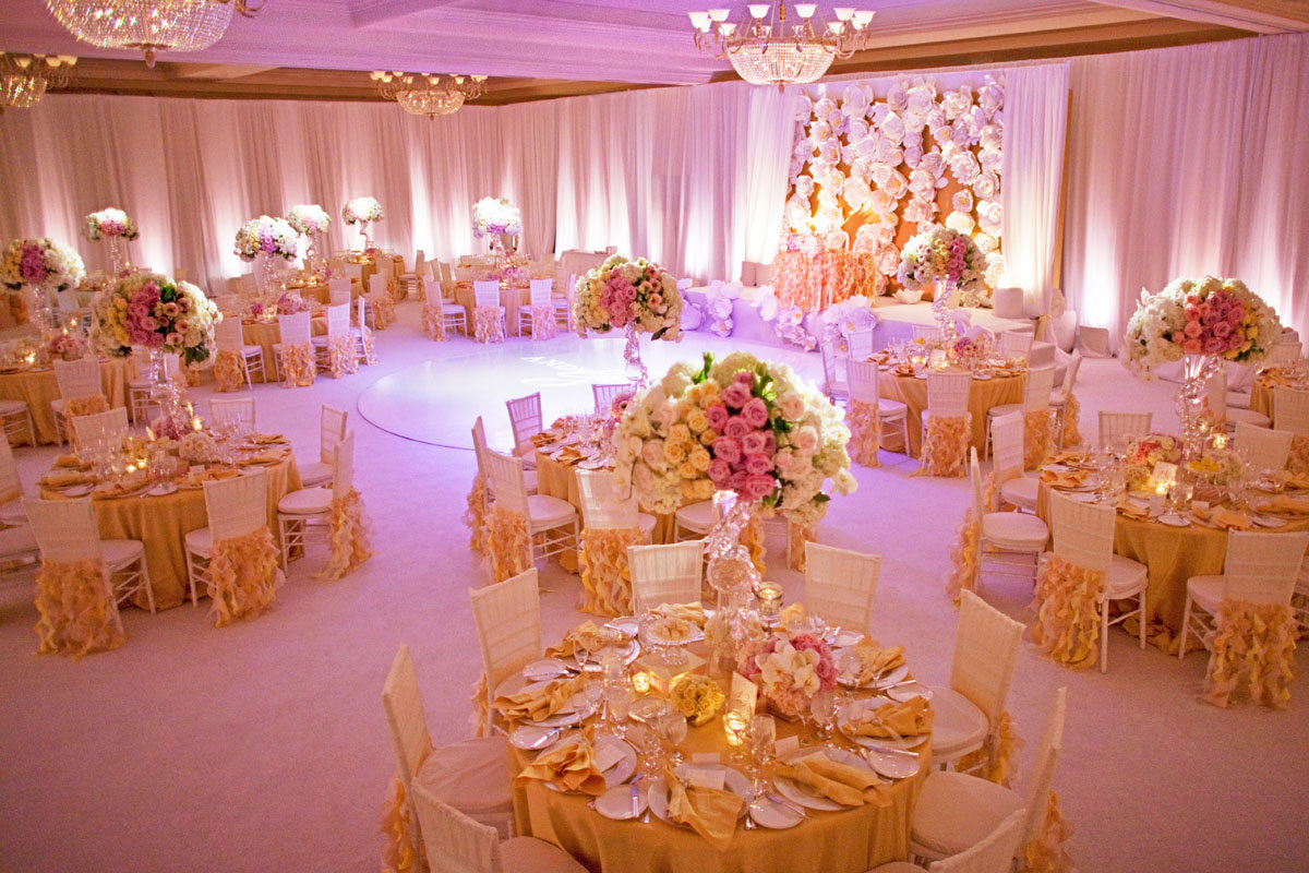 Wedding bravote, xxx pictures girls with monkey