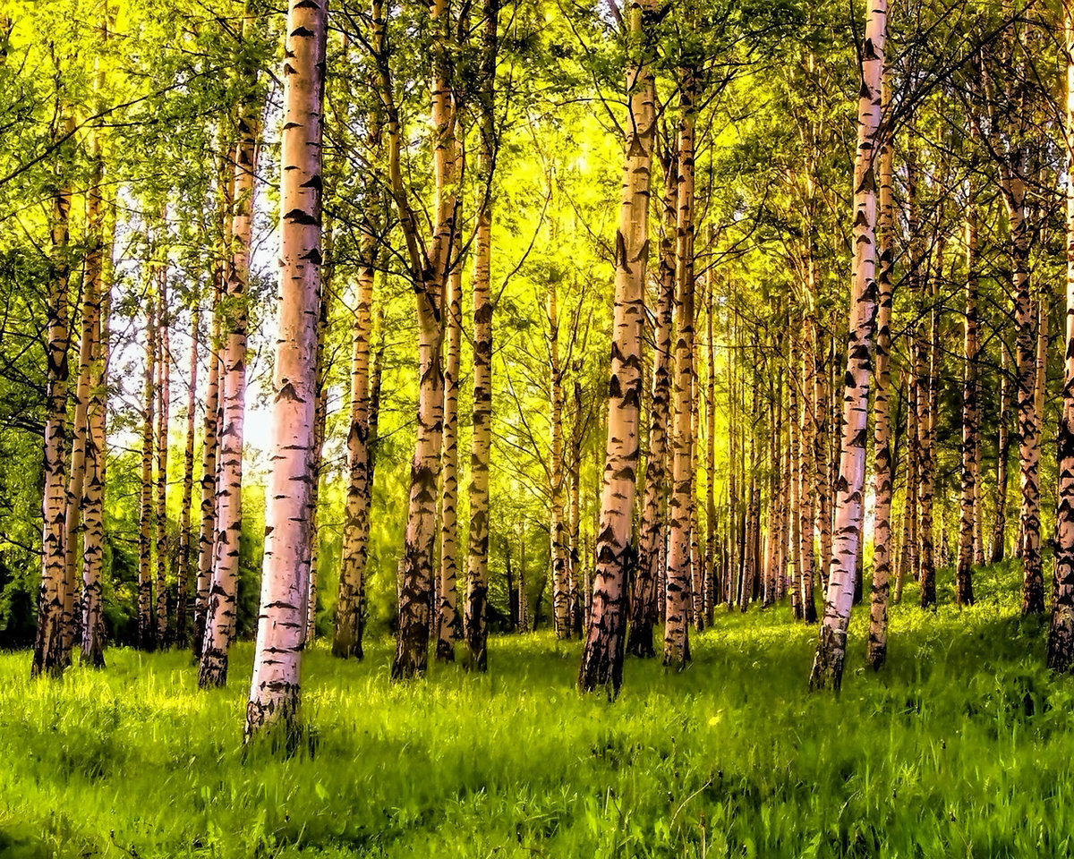 ������� ��������, �������� � ��������� �� ������� ����