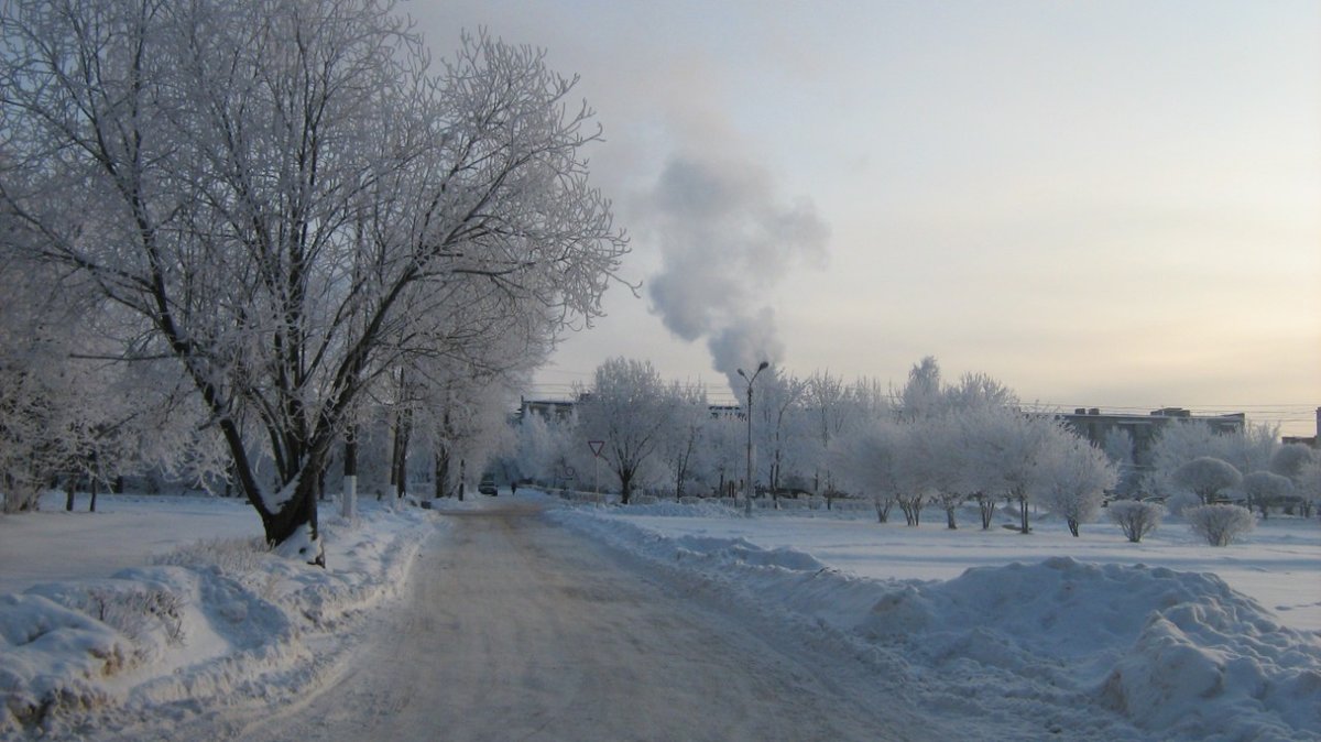 зимнее фото
