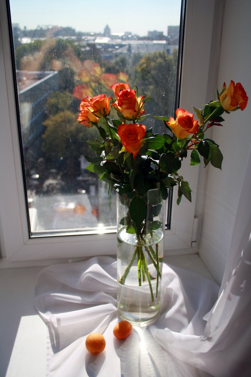 ������ ������ ���� �������� �� ���� ��� ����� ���